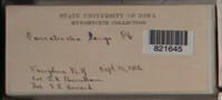 Image Associated With the Occurence